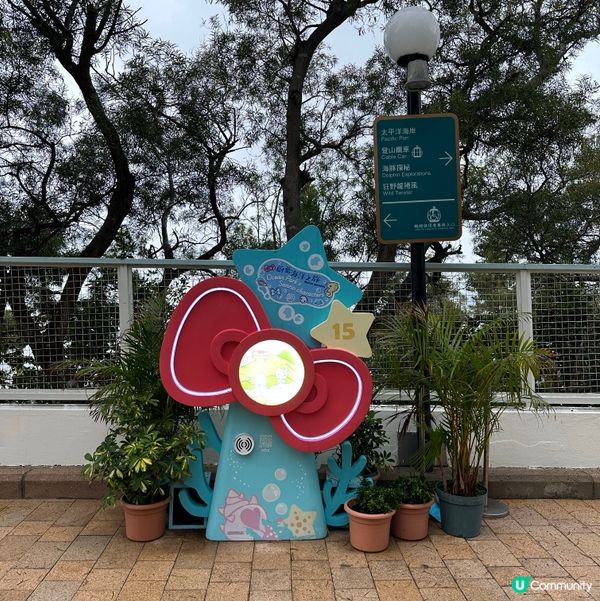 暑假限定！海洋公園 x Sanrio蔚藍海洋之旅