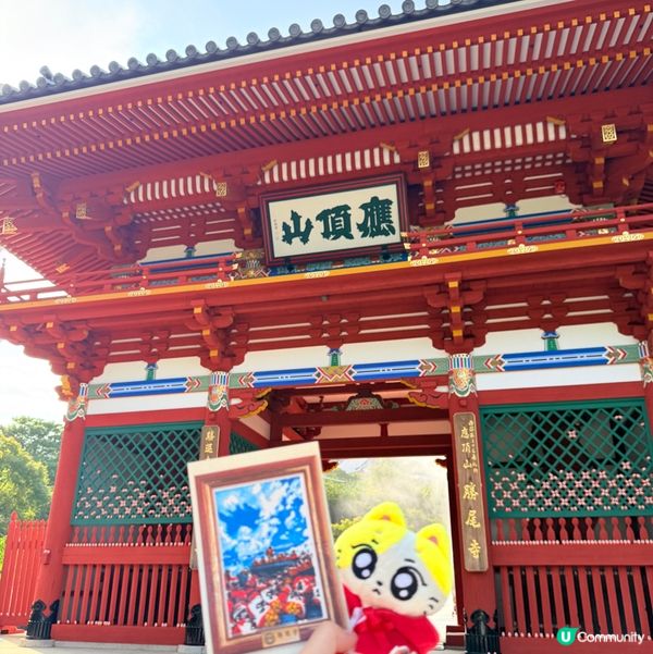 🇯🇵大阪勝尾寺⛩️御朱印勁靚🥹