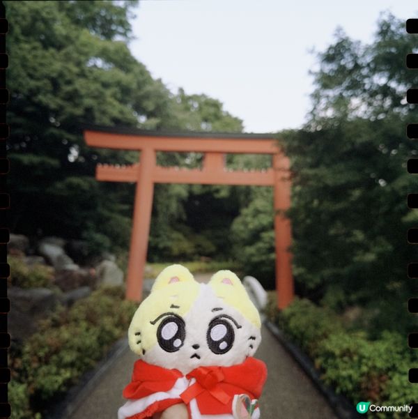 🇯🇵大阪勝尾寺⛩️御朱印勁靚🥹