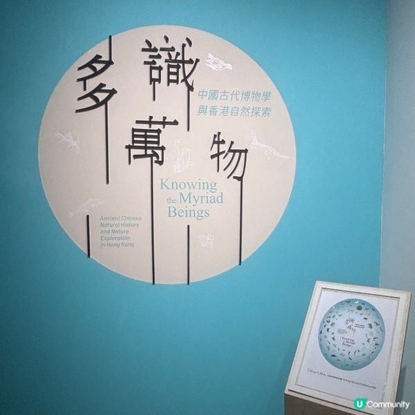 香港/🦎自然生態博物館展覽互動體驗親子chill住玩🦕
