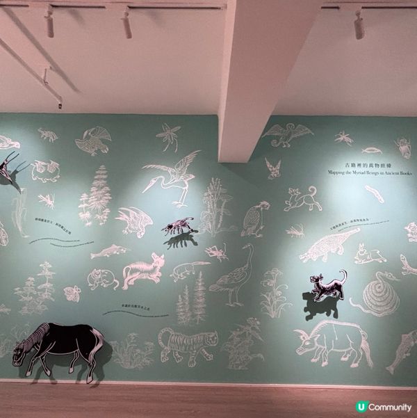 香港/🦎自然生態博物館展覽互動體驗親子chill住玩🦕