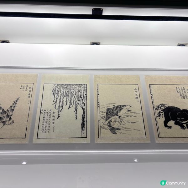 香港/🦎自然生態博物館展覽互動體驗親子chill住玩🦕