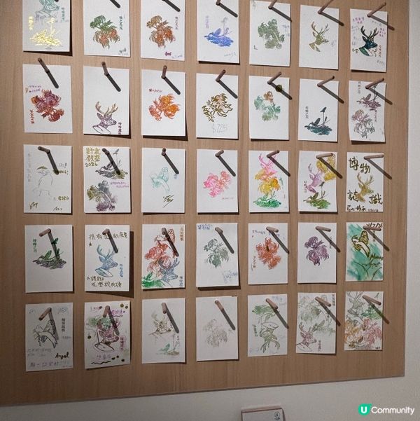 香港/🦎自然生態博物館展覽互動體驗親子chill住玩🦕