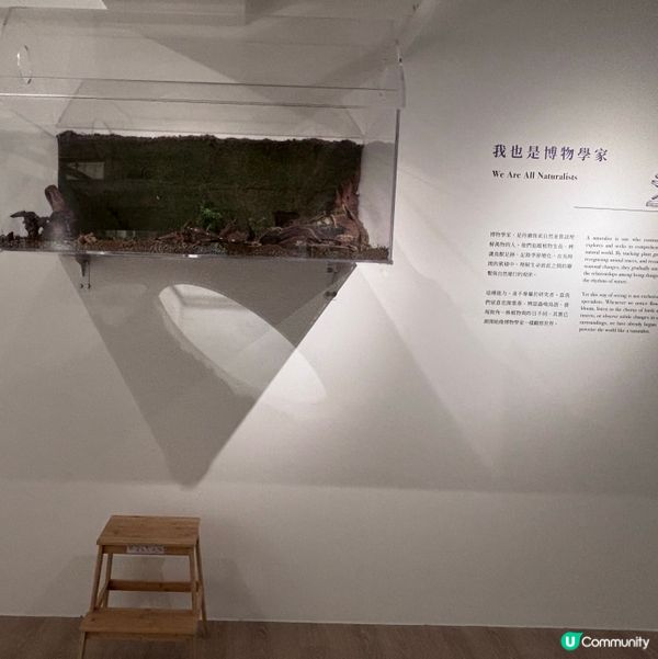 香港/🦎自然生態博物館展覽互動體驗親子chill住玩🦕
