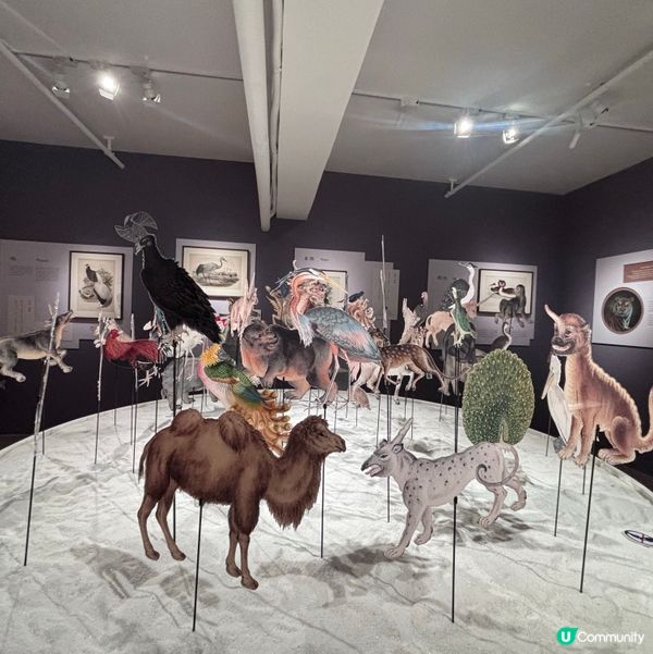 香港/🦎自然生態博物館展覽互動體驗親子chill住玩🦕