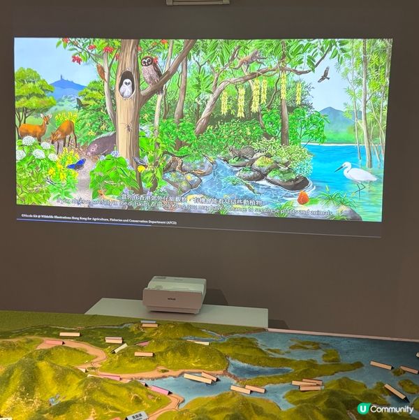 香港/🦎自然生態博物館展覽互動體驗親子chill住玩🦕