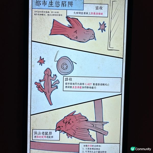香港/🦎自然生態博物館展覽互動體驗親子chill住玩🦕