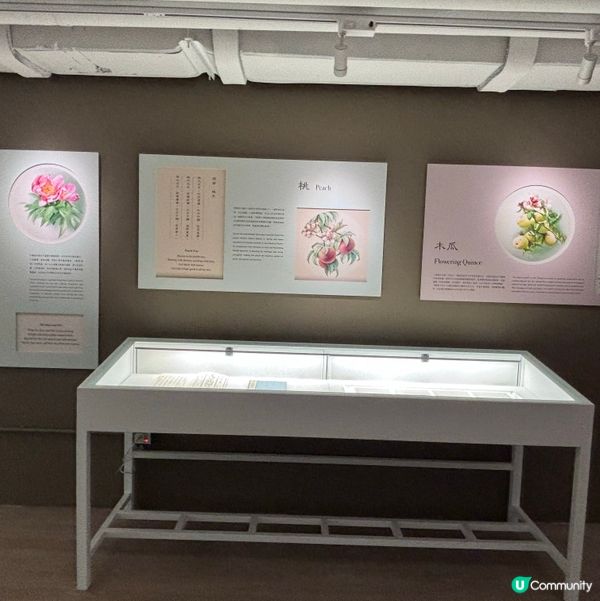 香港/🦎自然生態博物館展覽互動體驗親子chill住玩🦕