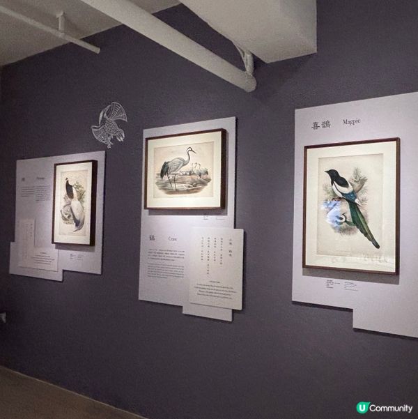 香港/🦎自然生態博物館展覽互動體驗親子chill住玩🦕
