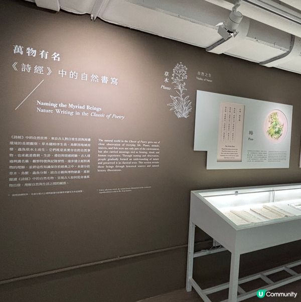 香港/🦎自然生態博物館展覽互動體驗親子chill住玩🦕