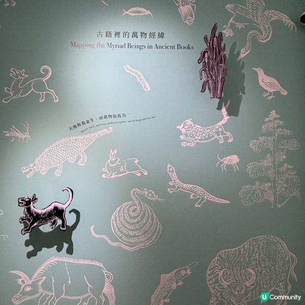 香港/🦎自然生態博物館展覽互動體驗親子chill住玩🦕