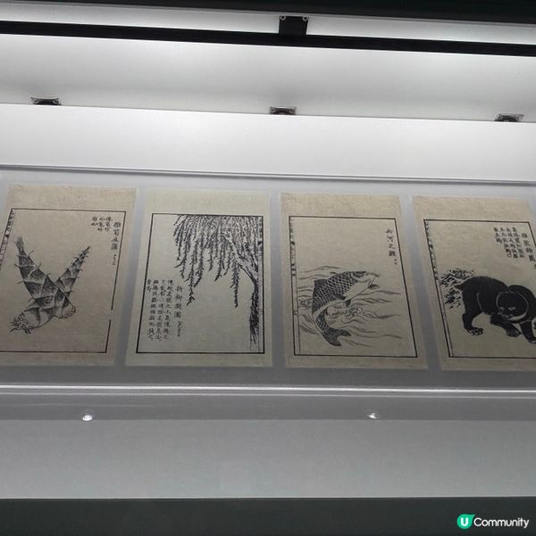 香港/🦎自然生態博物館展覽互動體驗親子chill住玩🦕