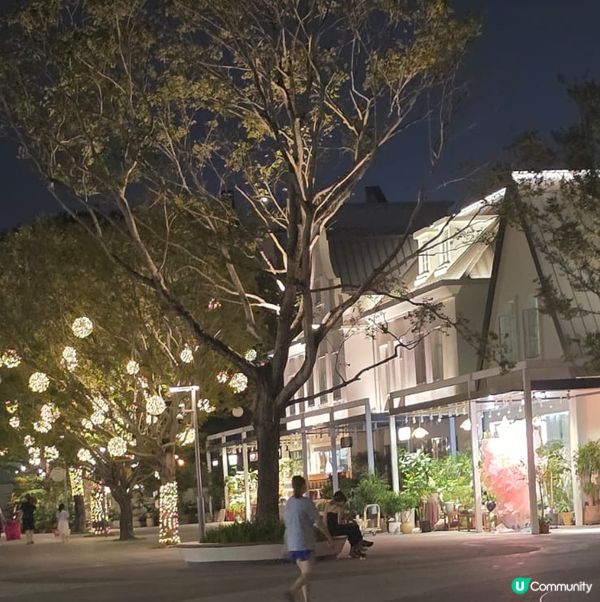 深圳荷蘭花卉小鎮