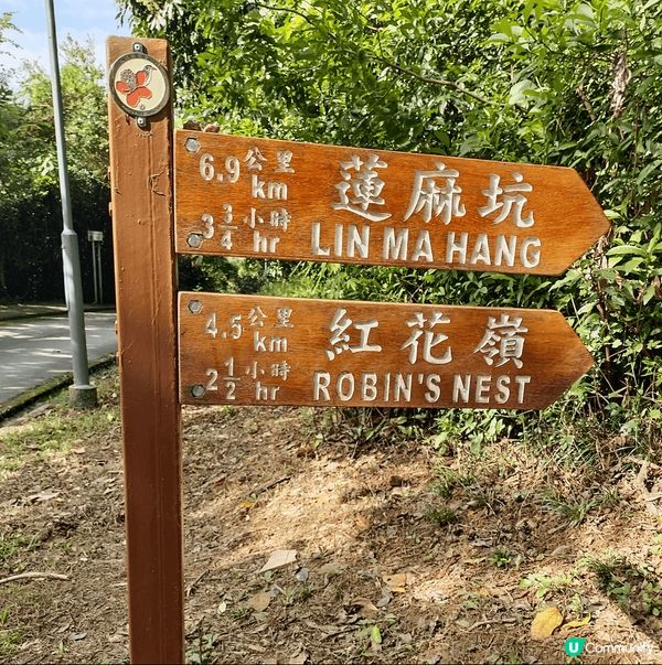 #聖誕都要做運動