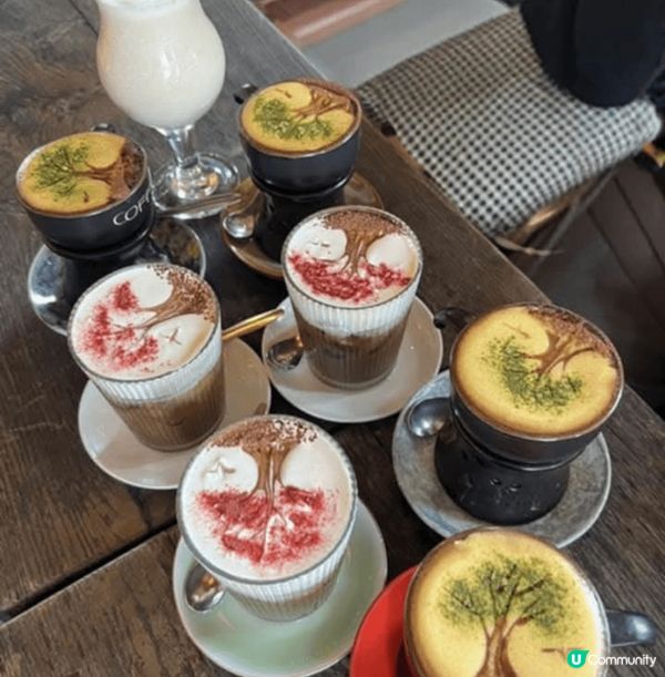 越式美食款式多，賣相好，酸辣味道令人一試難忘，特色飲品更勝一...