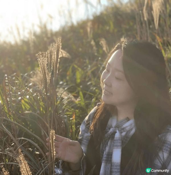 芒草山徑打卡📸！大帽山走起！🌾