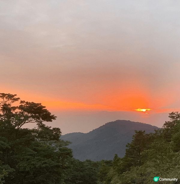 芒草山徑打卡📸！大帽山走起！🌾