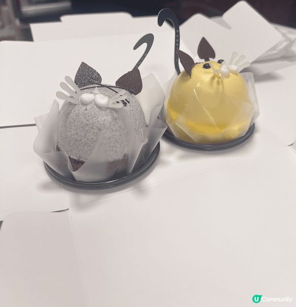 超鍾意食各式各樣唔同類型嘅甜品，因為甜品可以令人開心愉悅
