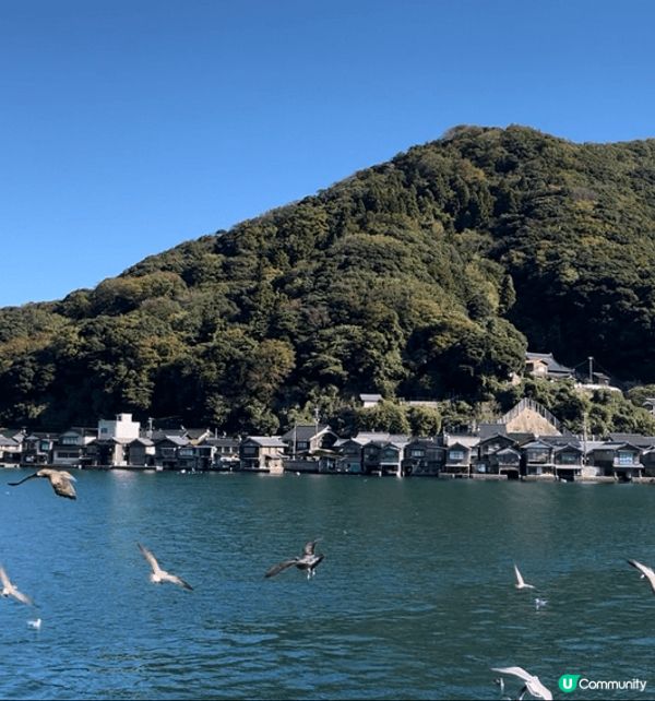 天橋立係比較少港人或旅客去旅遊景點，比較寧靜及風景很美！極力...