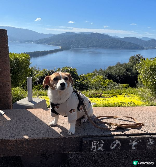 天橋立係比較少港人或旅客去旅遊景點，比較寧靜及風景很美！極力...