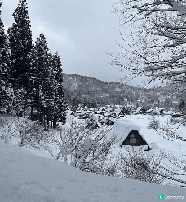 銀白雪景的童話世界