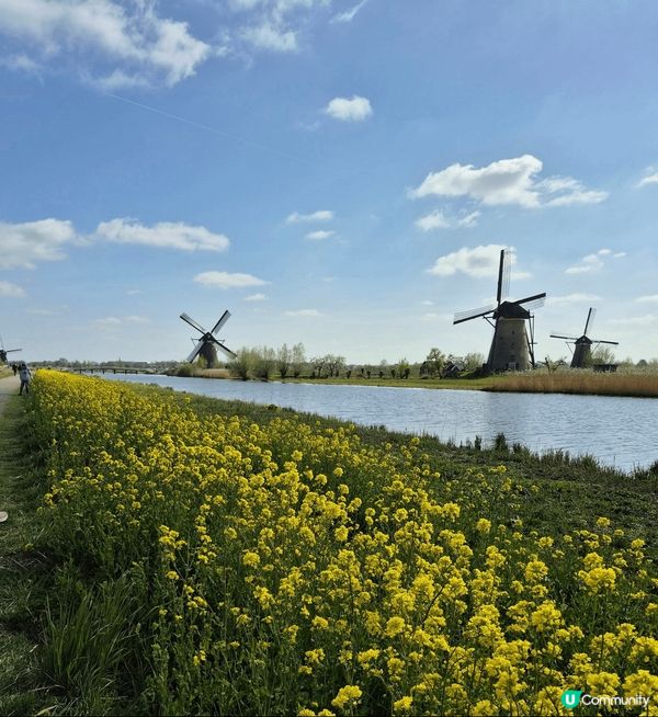就這麼一個簡單的念頭，把我帶來了這個以風車、鬱金香聞名的國家...