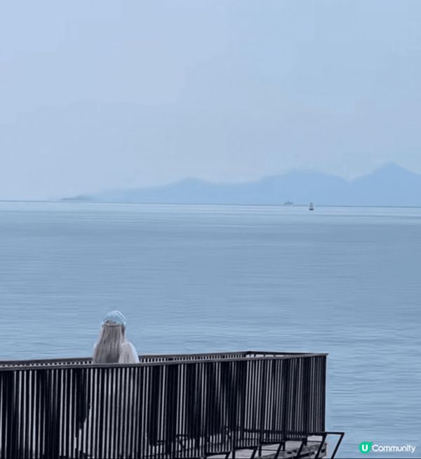 來深圳一定要坐一趟海上列車！