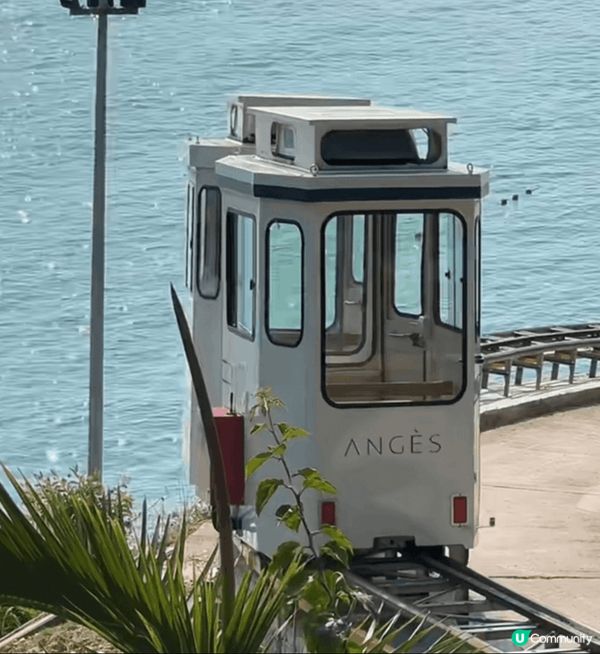 來深圳一定要坐一趟海上列車！