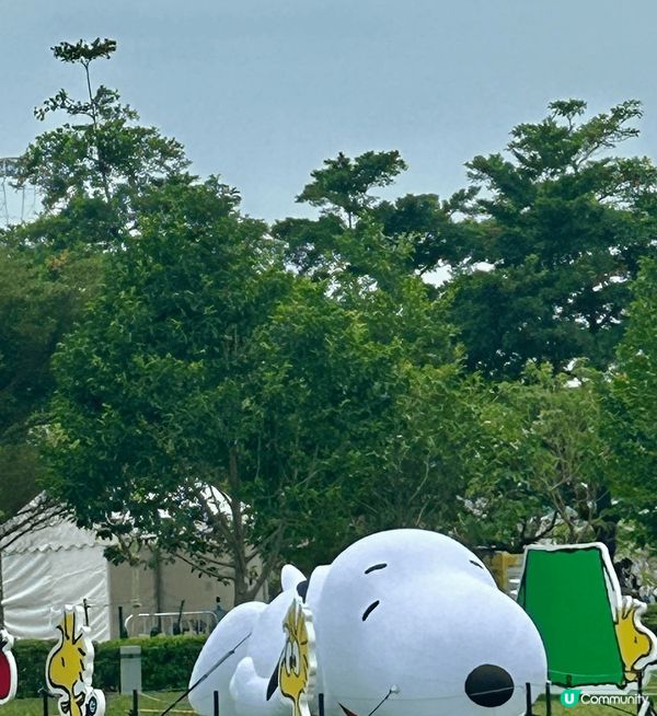 很懷念之前一連八日在维港海上大巡遊的4大熱門IP角色多啦A夢...