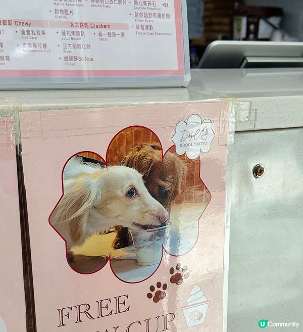 觀塘希臘乳酪🍦寵物天堂!🐶💖