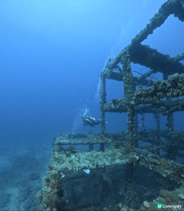 來到台灣綠島的鋼鐵礁潛水，感受清澈的大海、友善的魚兒和海中的...