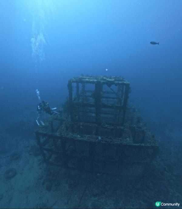來到台灣綠島的鋼鐵礁潛水，感受清澈的大海、友善的魚兒和海中的...