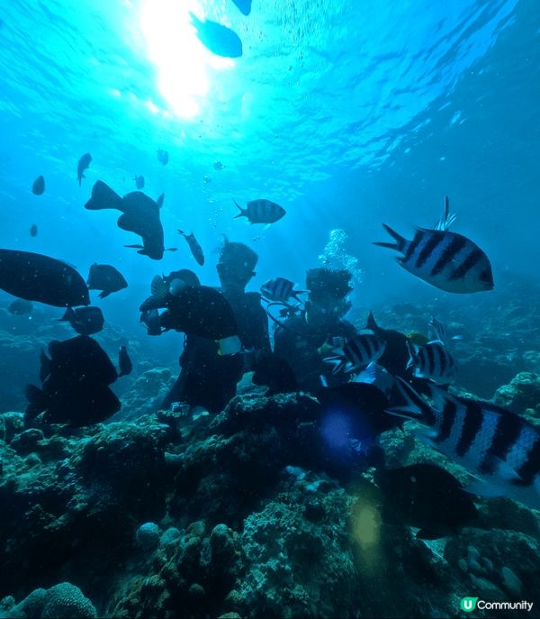 去旅行緊係要玩到盡！
