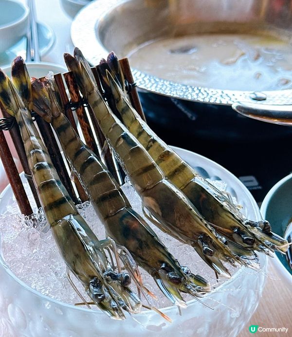 台灣過江龍🔥 肉多多火鍋登陸香港！