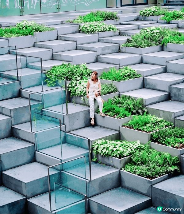 最近荔枝角瓊林街83號成為打卡熱點，新屎坑既小姐姐們點可以錯...