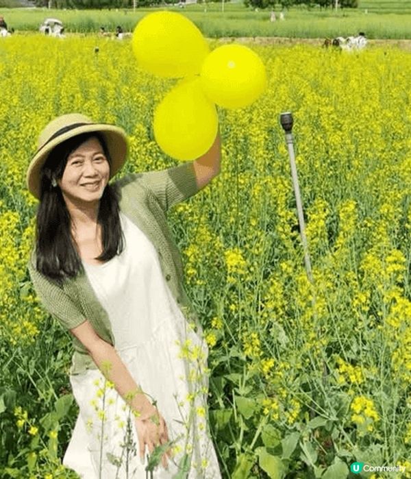 深圳光明歡樂田園的油菜花田和小火車，讓你拍下童話般的照片