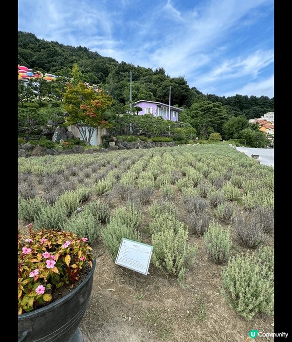 以上包括首爾聖水洞(有不少美妝品牌旗艦店進駐)，現代百貨 （...