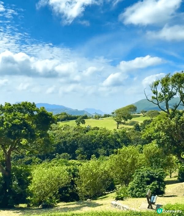 我推薦清水灣郊野公園，作為初學者嘅行山地點。超近市區，但係又...