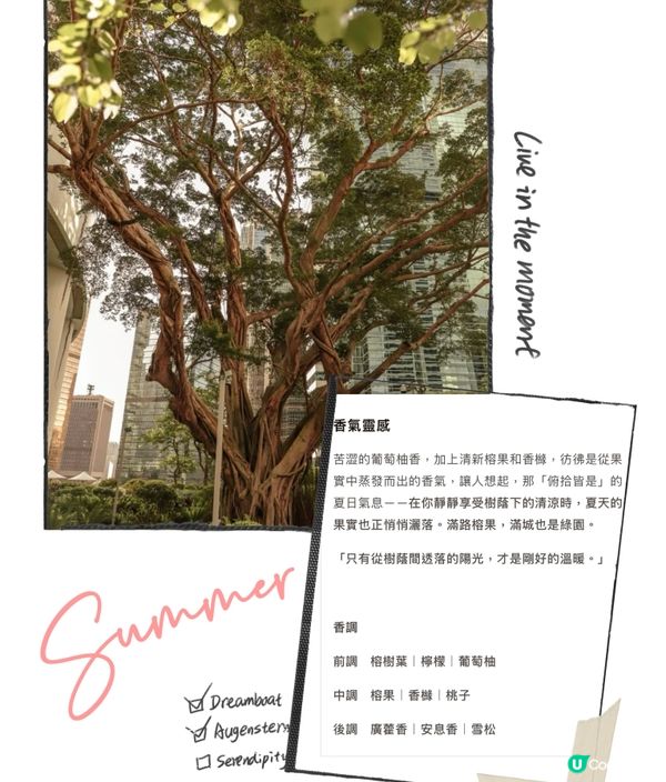 本土情懷香水🌿一試後愛上了😍