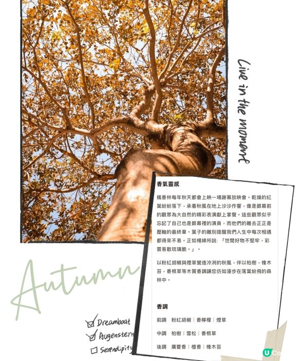 本土情懷香水🌿一試後愛上了😍