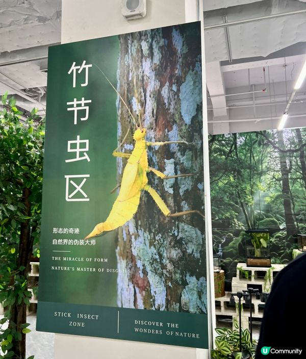 🌿深圳天河城|綠洲螳潮·昆蟲秘境🦗