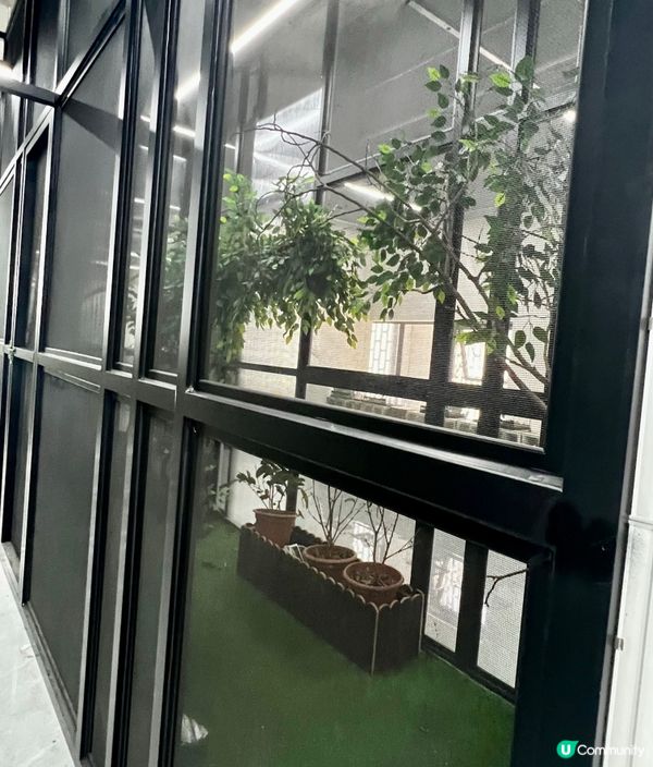 🌿深圳天河城|綠洲螳潮·昆蟲秘境🦗