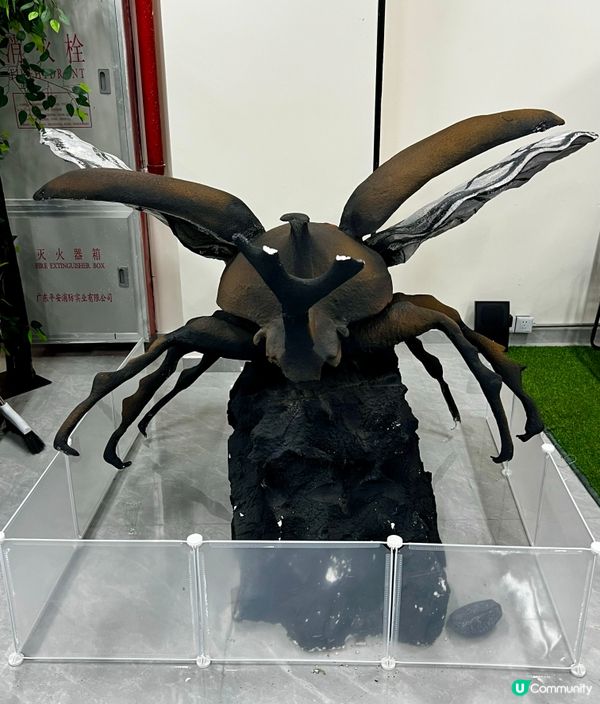 🌿深圳天河城|綠洲螳潮·昆蟲秘境🦗