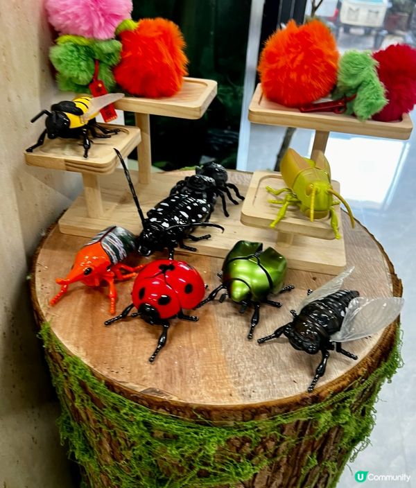 🌿深圳天河城|綠洲螳潮·昆蟲秘境🦗