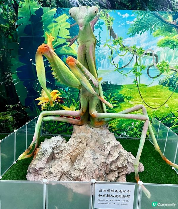 🌿深圳天河城|綠洲螳潮·昆蟲秘境🦗