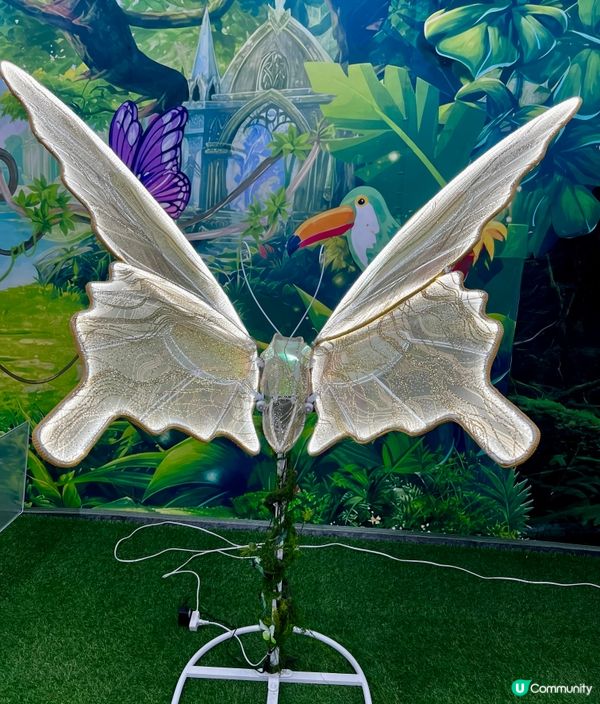 🌿深圳天河城|綠洲螳潮·昆蟲秘境🦗