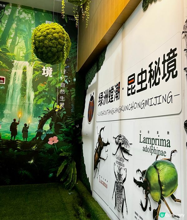 🌿深圳天河城|綠洲螳潮·昆蟲秘境🦗