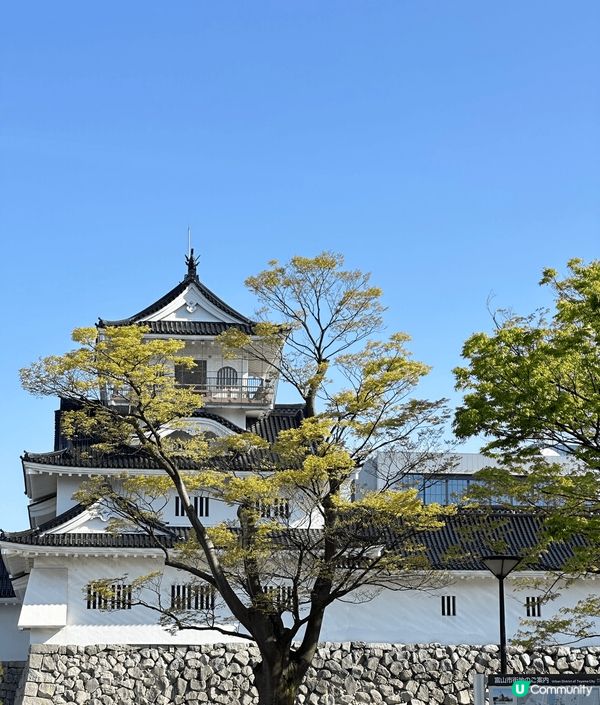 1）通常去名古屋都會去埋八川鄉，雖然是4 月去，沒有冬天那麽...