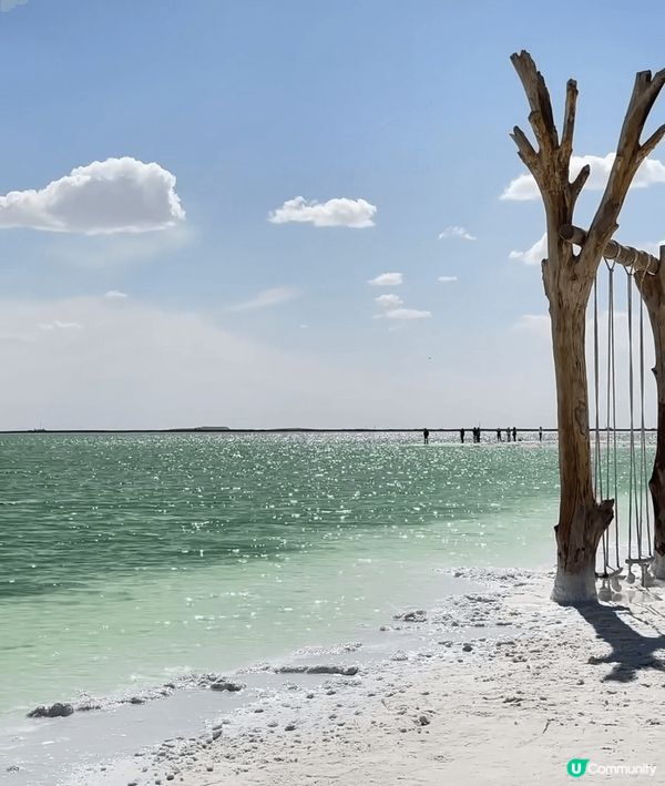 翡翠湖綠蘋果汁，靚到爆！🤩