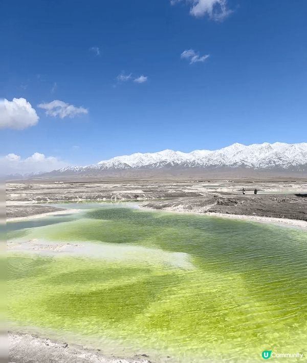 翡翠湖綠蘋果汁，靚到爆！🤩